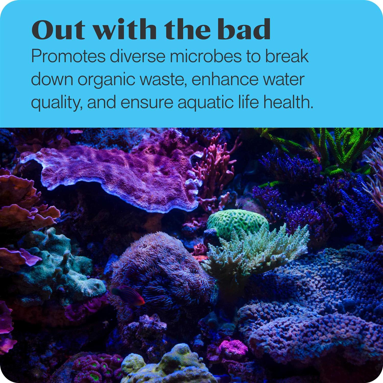 Brightwell Aquatics 1 Liter MicroBacter7 - Image 4