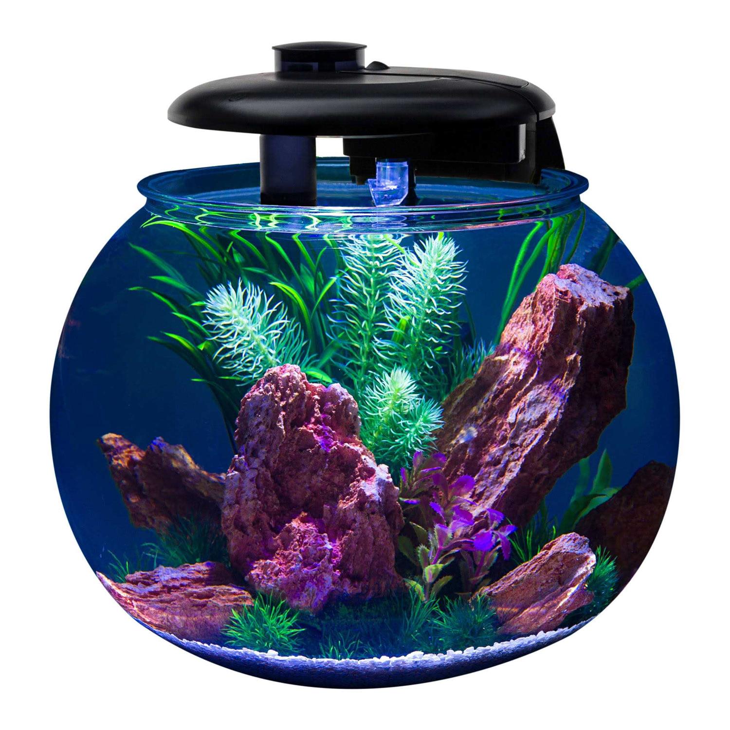 Penn-Plax AquaSphere 360 Polycarbonate Bowl-Shaped Aquarium 10 Gallon - Image 3