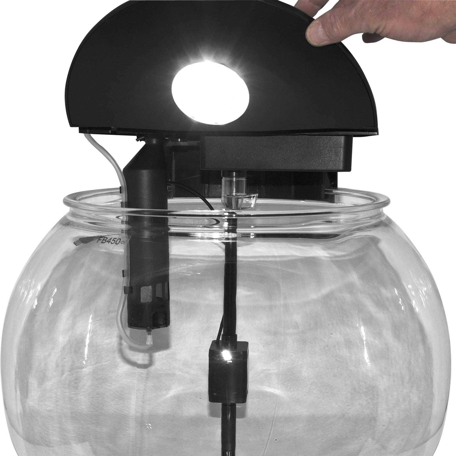 Penn-Plax AquaSphere 360 Polycarbonate Bowl-Shaped Aquarium 10 Gallon - Image 5