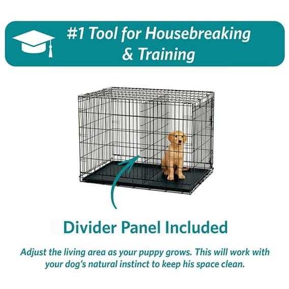 Midwest iCrate Double Door Dog Crate - Image 3