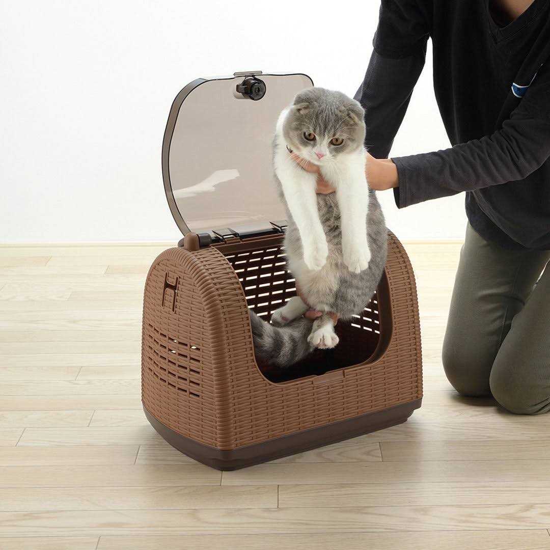 Richell Faux Wicker Pet Carrier - Image 3