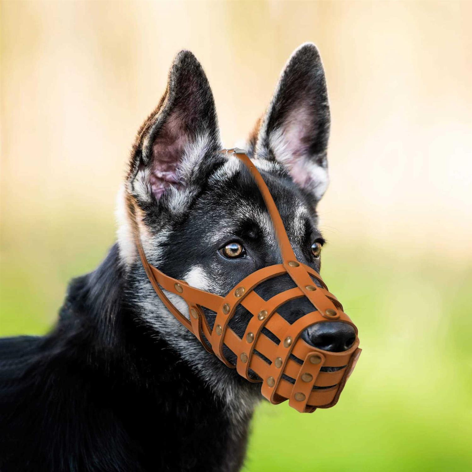 MUROM Leather Dog Muzzle German Shepherd Adjustable Breathable Doberman Dalmatian Setter Basket Medium Large Breeds Black Brown Red Gr - Image 5