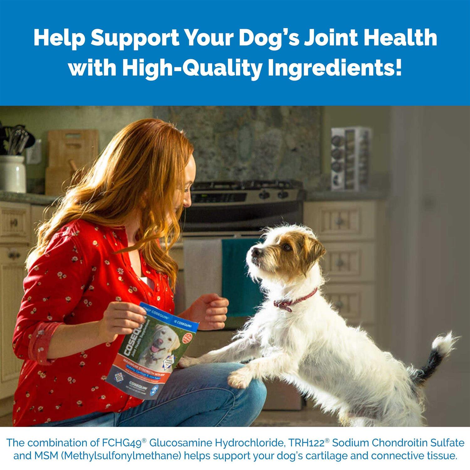 Cosequin Maximum Strength Plus MSM & HA for Dogs - Image 3