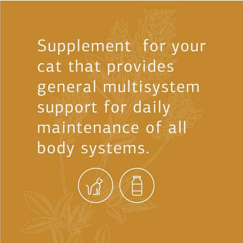 Feline Whole Body Support - Image 3