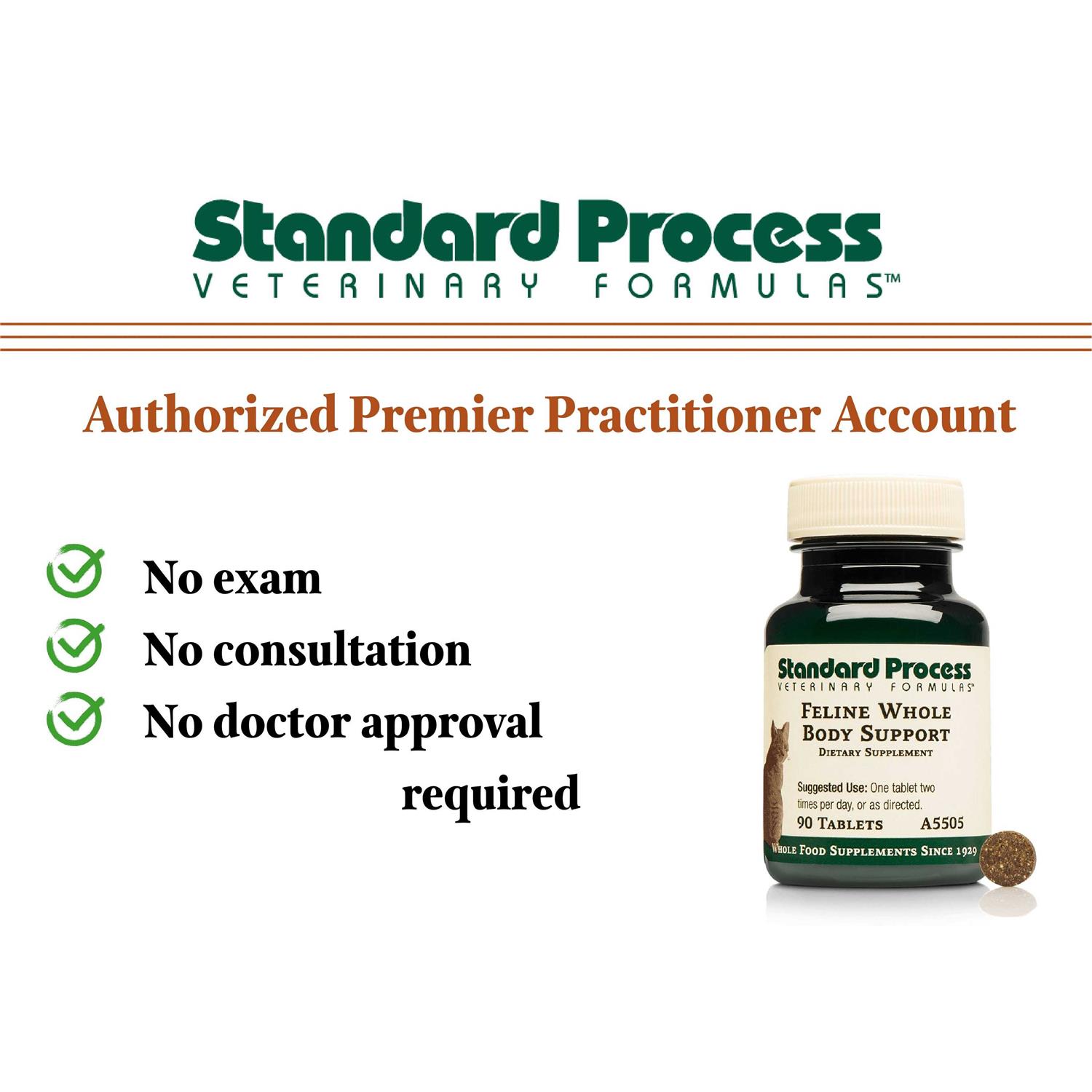 Feline Whole Body Support - Image 4