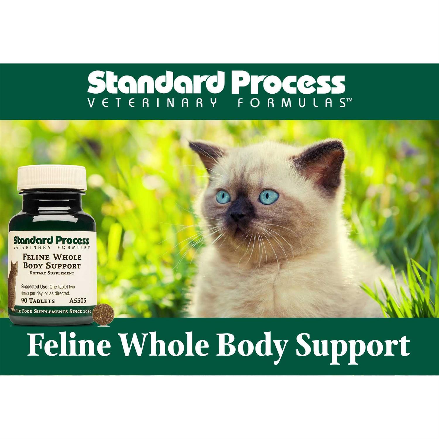 Feline Whole Body Support - Image 5