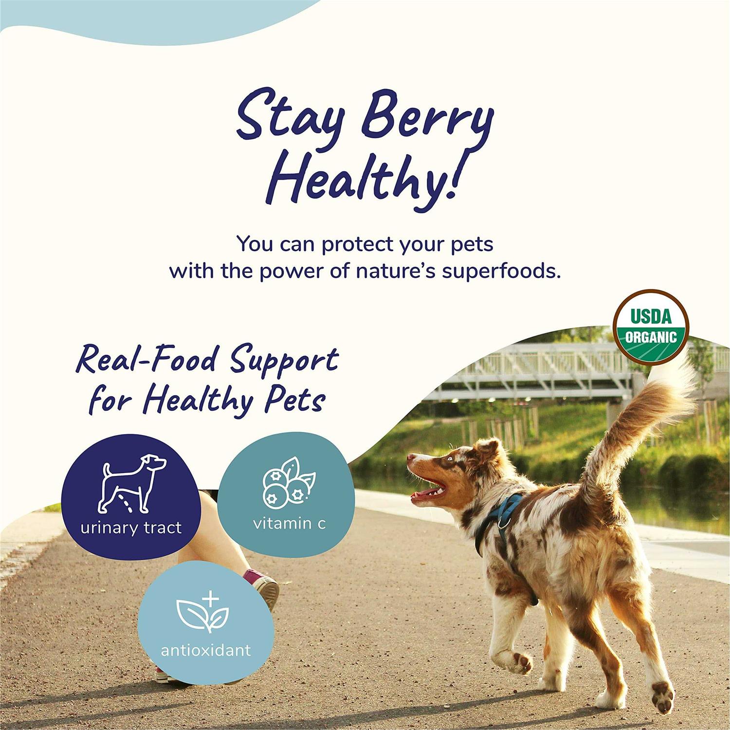 kin+kind, Healthy Immunity, for Dogs and Cats - Image 3