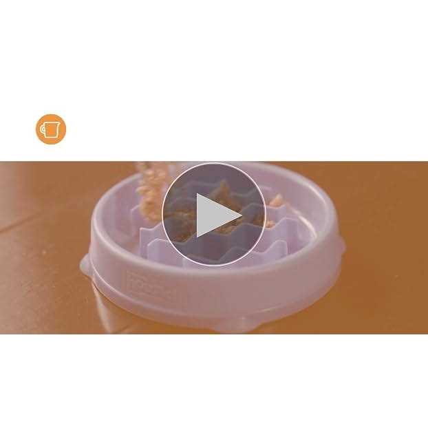 Petstages Kitty Slow Feeder Cat Bowl - Image 3