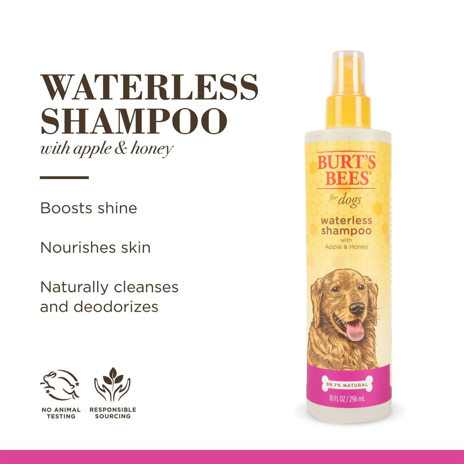 Burt's Bees Waterless Shampoo with Apple & Honey - Image 3