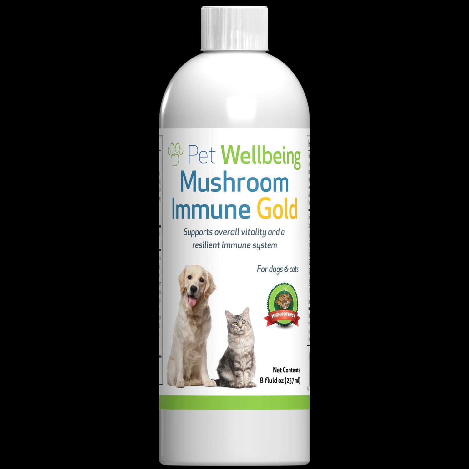 transferdeli More Mushrooms Kit Comprehensive Cancer Care - Image 4