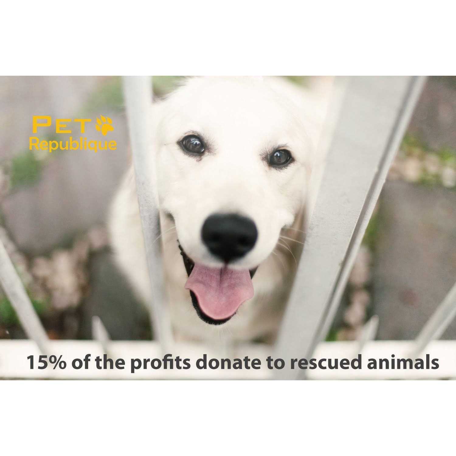 Pet Republique Dog Nail Grinder and Nail Clippers Series Size Option Dogs - Image 4