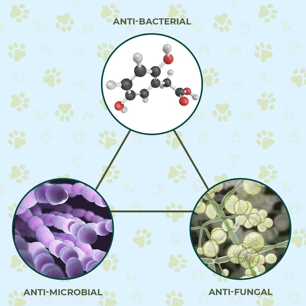 Organic 5 in 1 Oatmeal Dog Shampoo & Conditioner Defense Against Dandruff - Image 3