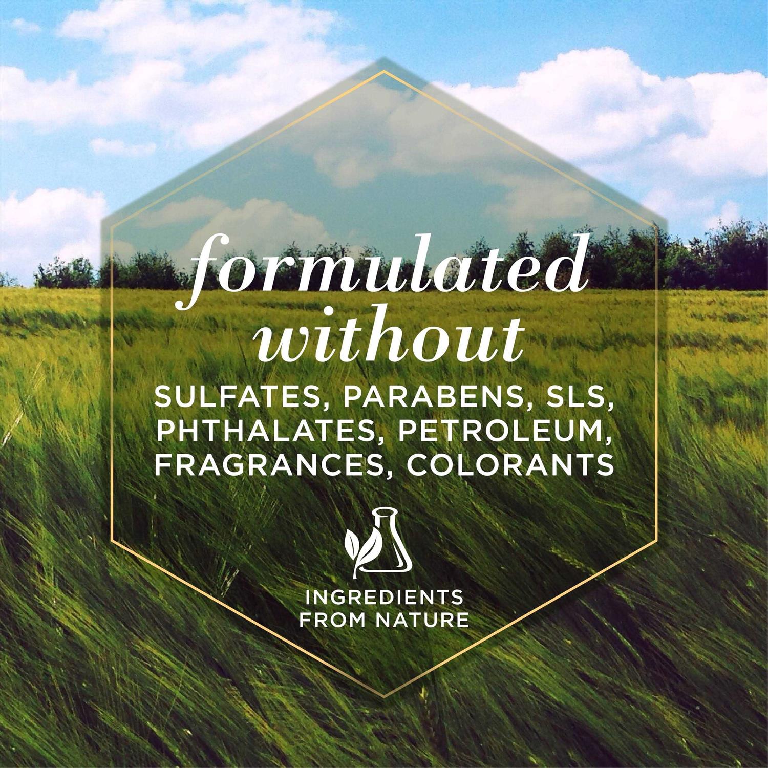 Burt's Bees Oatmeal Conditioner for Dogs with Colloidal Oat Flour & Honey - Image 4