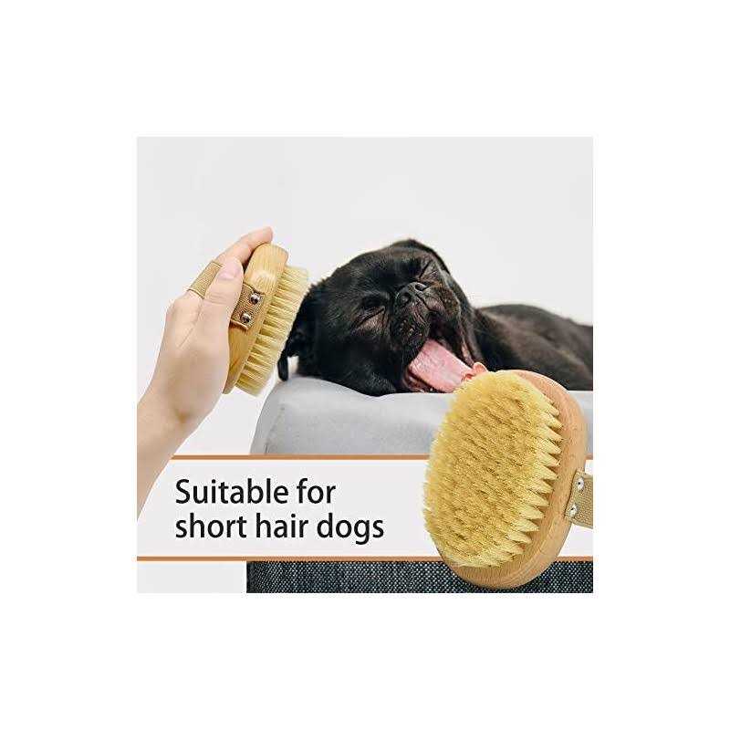 casidoxi soft bristle dog brush for short haired cats dogs with elastic band - Image 3