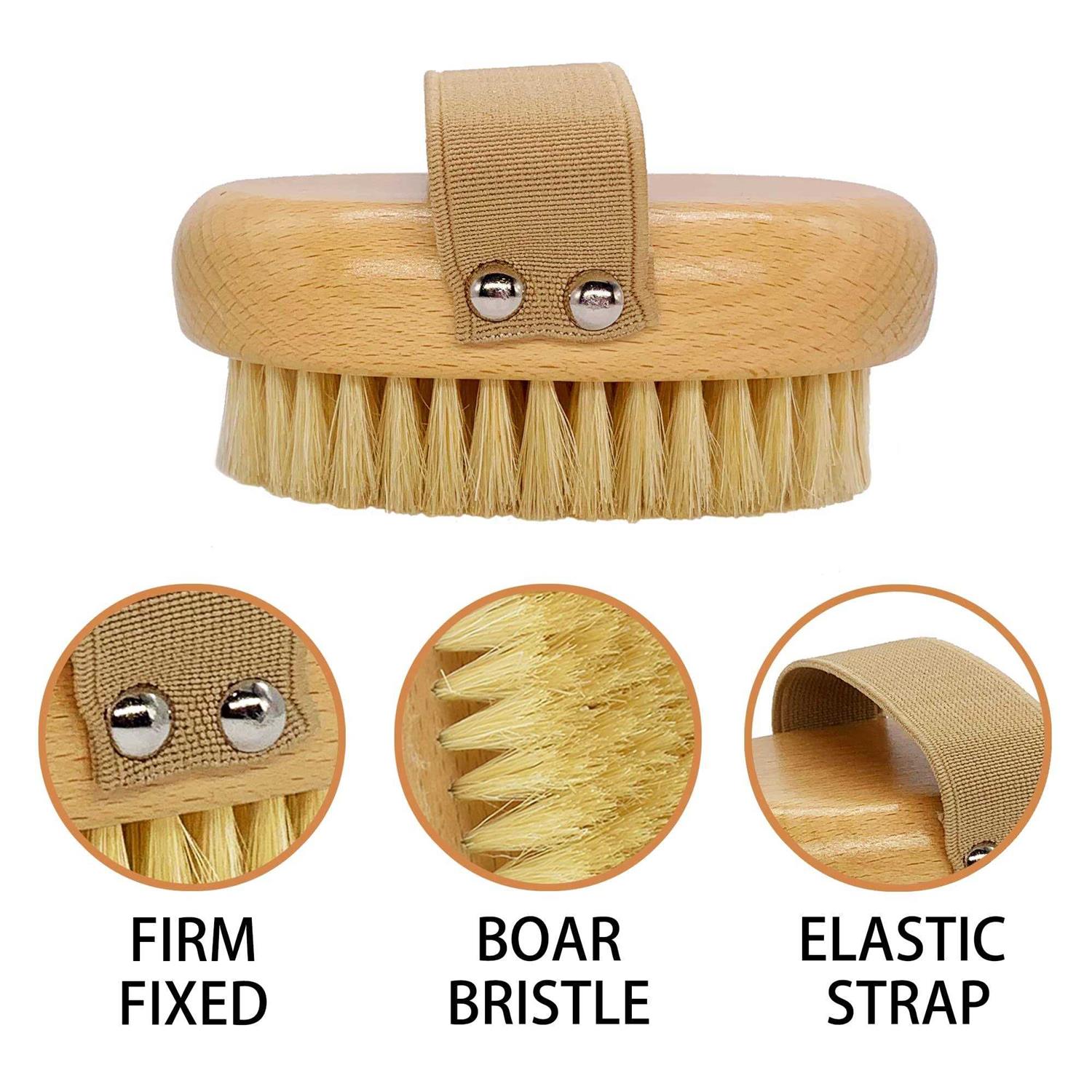 casidoxi soft bristle dog brush for short haired cats dogs with elastic band - Image 4