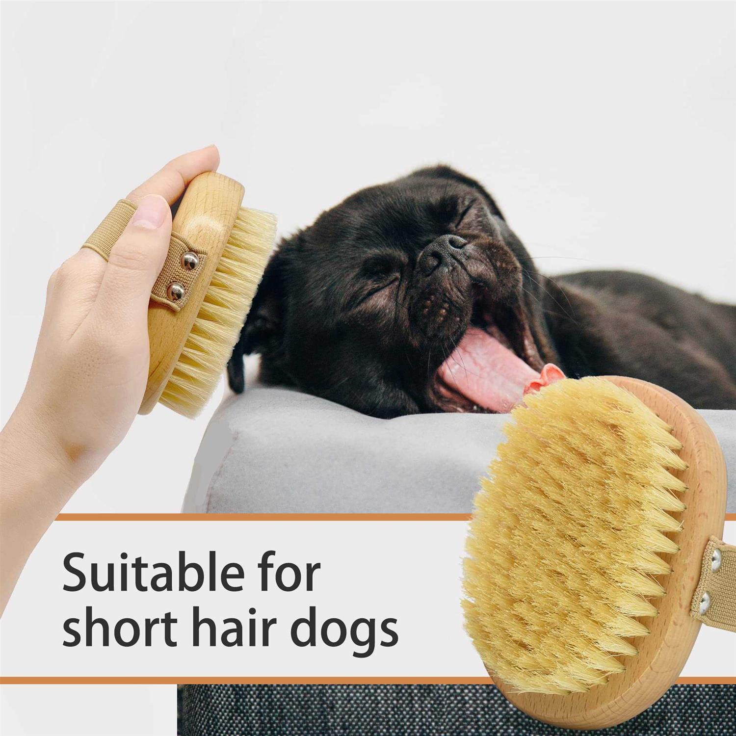 casidoxi soft bristle dog brush for short haired cats dogs with elastic band - Image 5