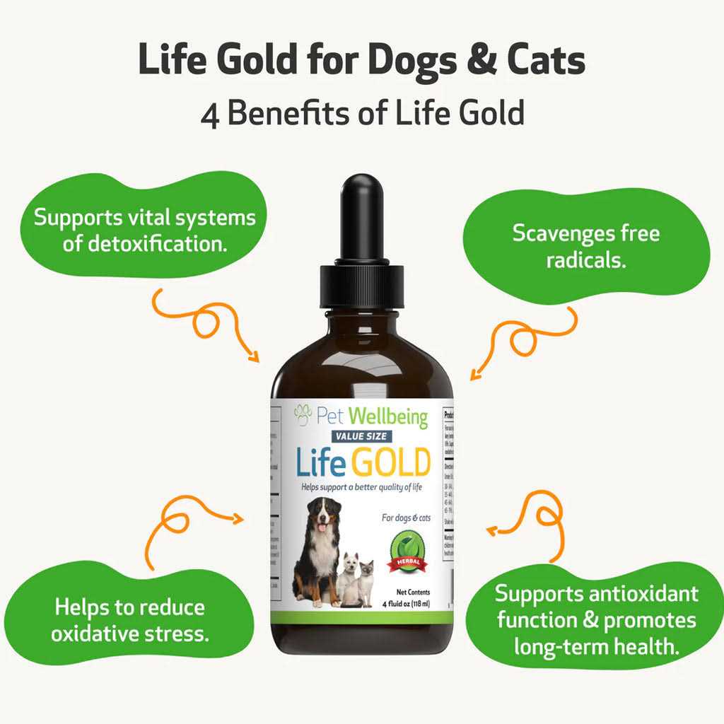 Pet Wellbeing Life Gold for Dogs - Image 3