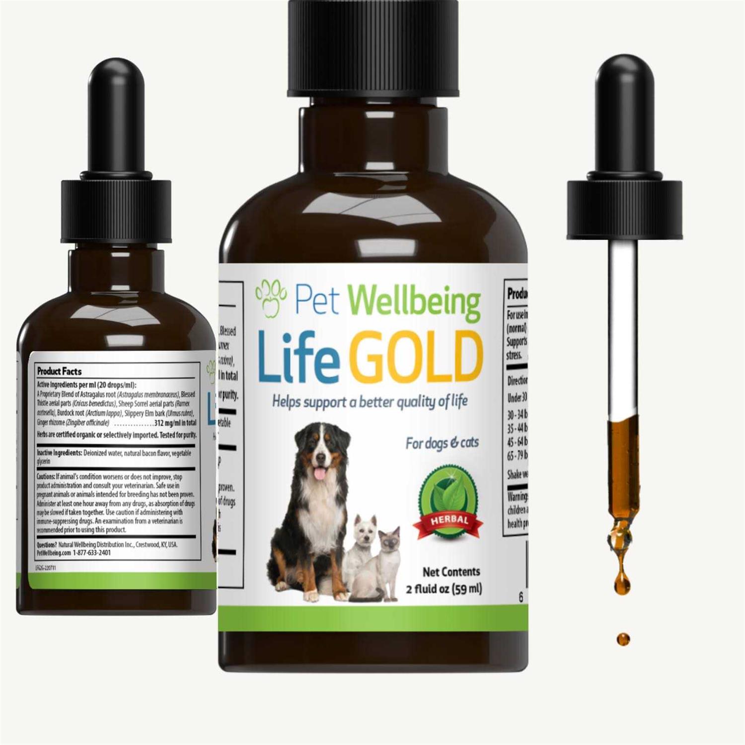 Pet Wellbeing Life Gold for Dogs - Image 4