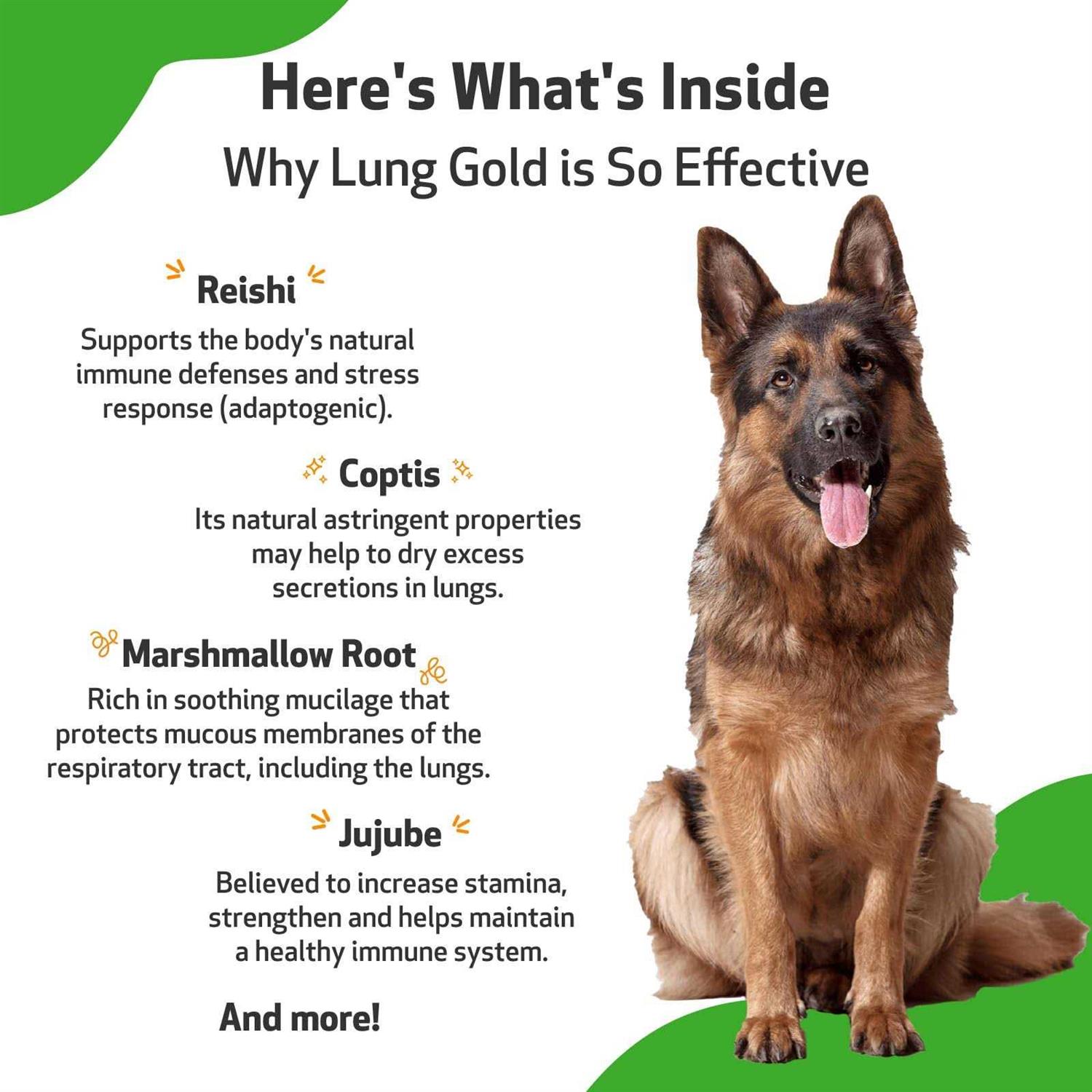 Pet Wellbeing Lung Gold for Dogs - Image 4