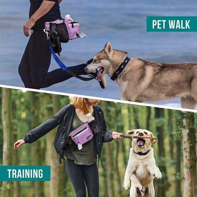 Petami Dog Fanny Pack Treat Pouch for Dog Walking Training Built in Poop Bag Dispenser - Image 3