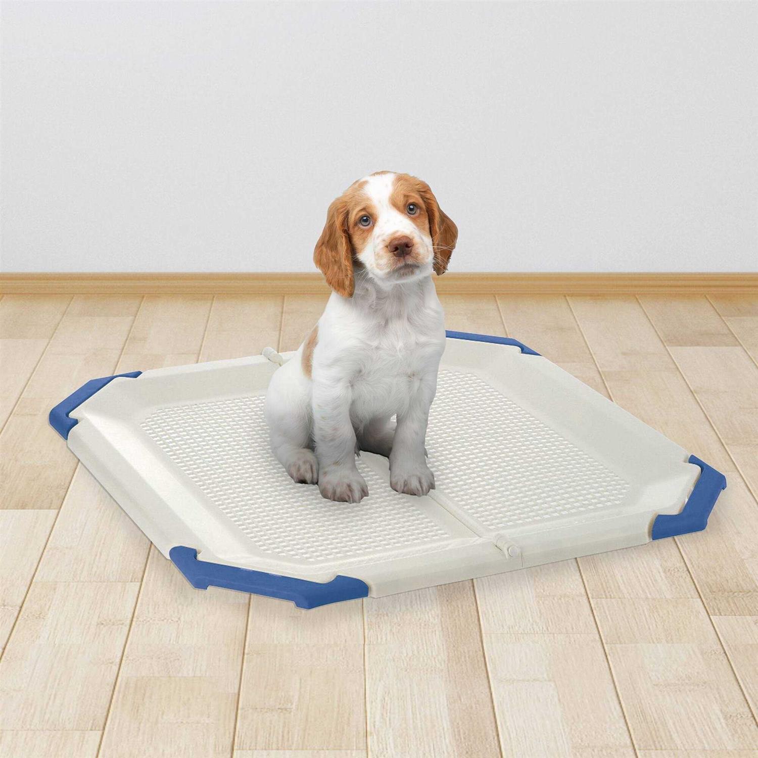 Richell PAW TRAX Potty Holder - Image 3