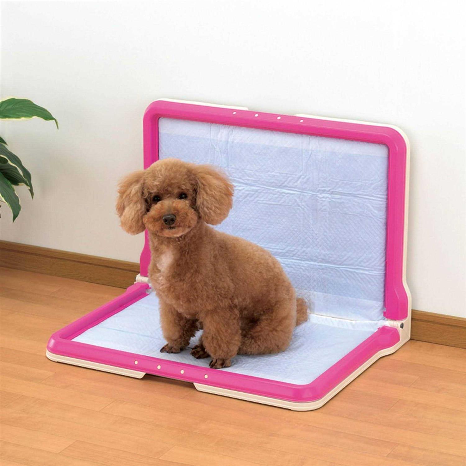 Richell PAW Trax High Wall Potty Pad Tray - Image 3