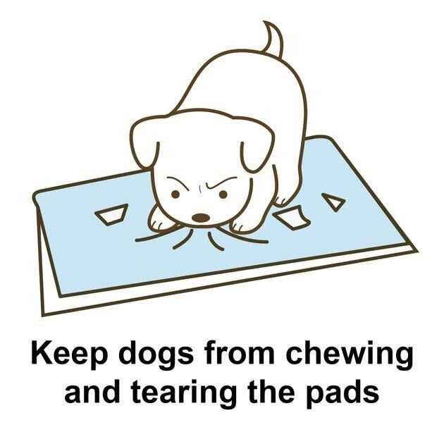 Richell PAW Trax High Wall Potty Pad Tray - Image 5