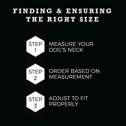 Wolfgang Martingale Dog Collar - Image 4