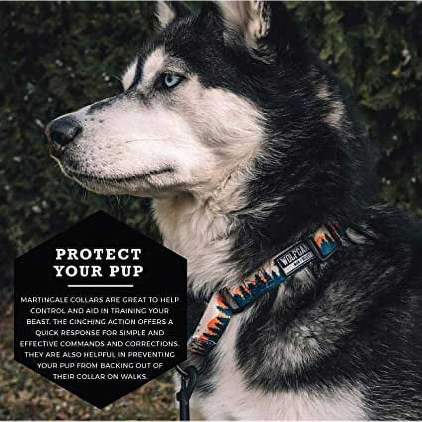 Wolfgang Martingale Dog Collar - Image 5