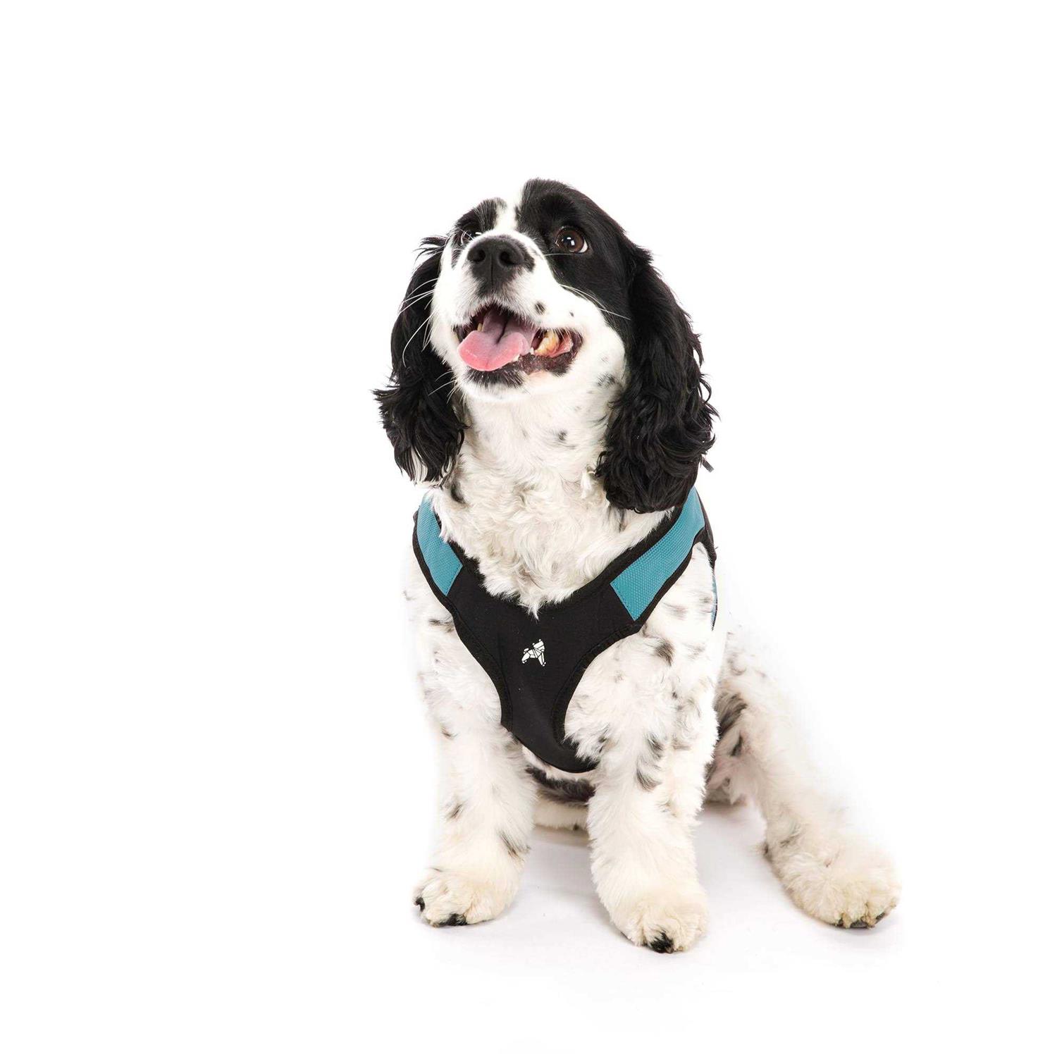 Gooby Escape Free Sport Dog Harness - Image 3