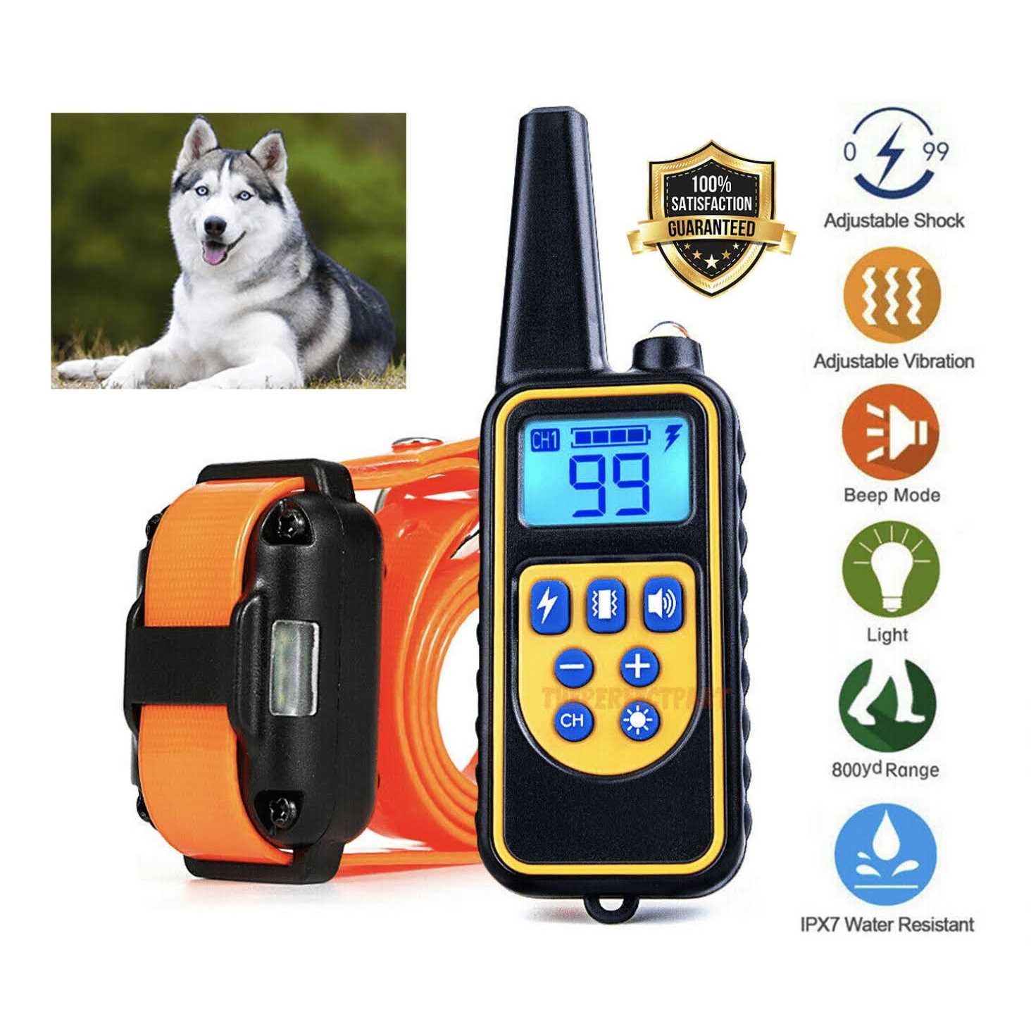 Dog Training Collar - Image 5