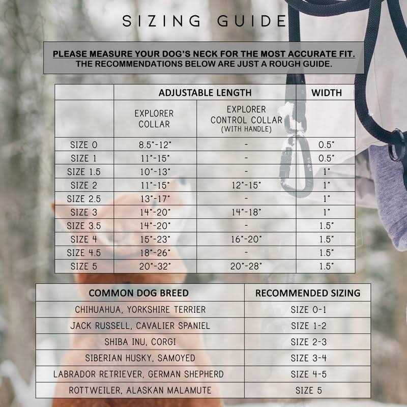 Roam Made to Roam Premium Dog Collar Adjustable Heavy Duty Nylon Collar with Quick-Release Metal Buckle - Image 4