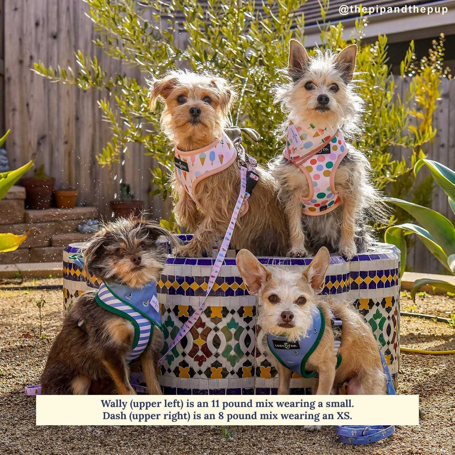 Reversible Harness Harness - Image 3