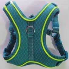 EveryYay Embrace The Pace Reflective Dog Harness - Image 4