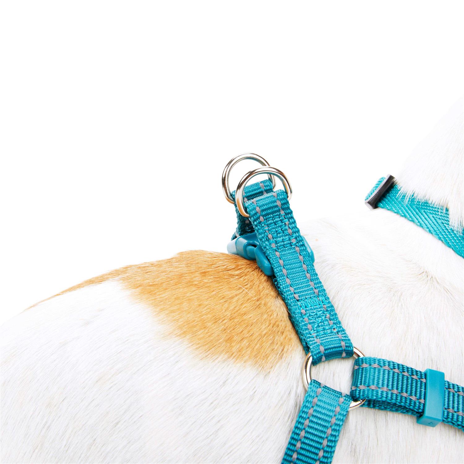 EveryYay Embrace The Pace Reflective Dog Harness - Image 5