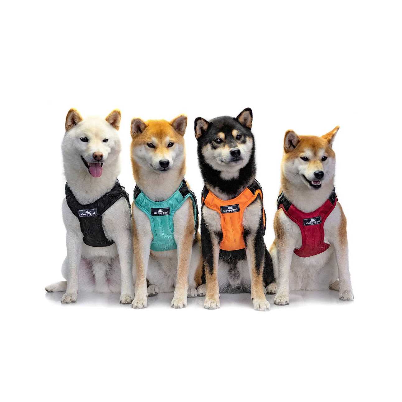 Sleepypod Clickit Terrain Safety - Image 5