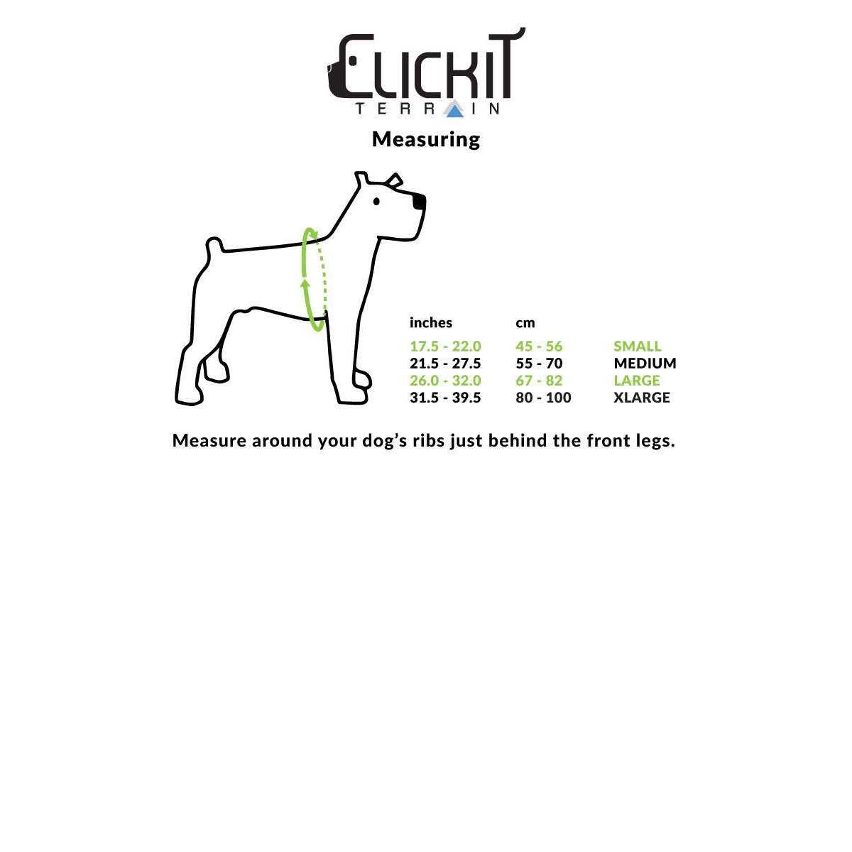 Sleepypod Clickit Terrain Safety - Image 4