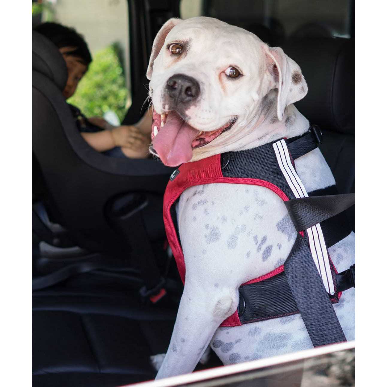 Sleepypod Clickit Terrain Safety - Image 5