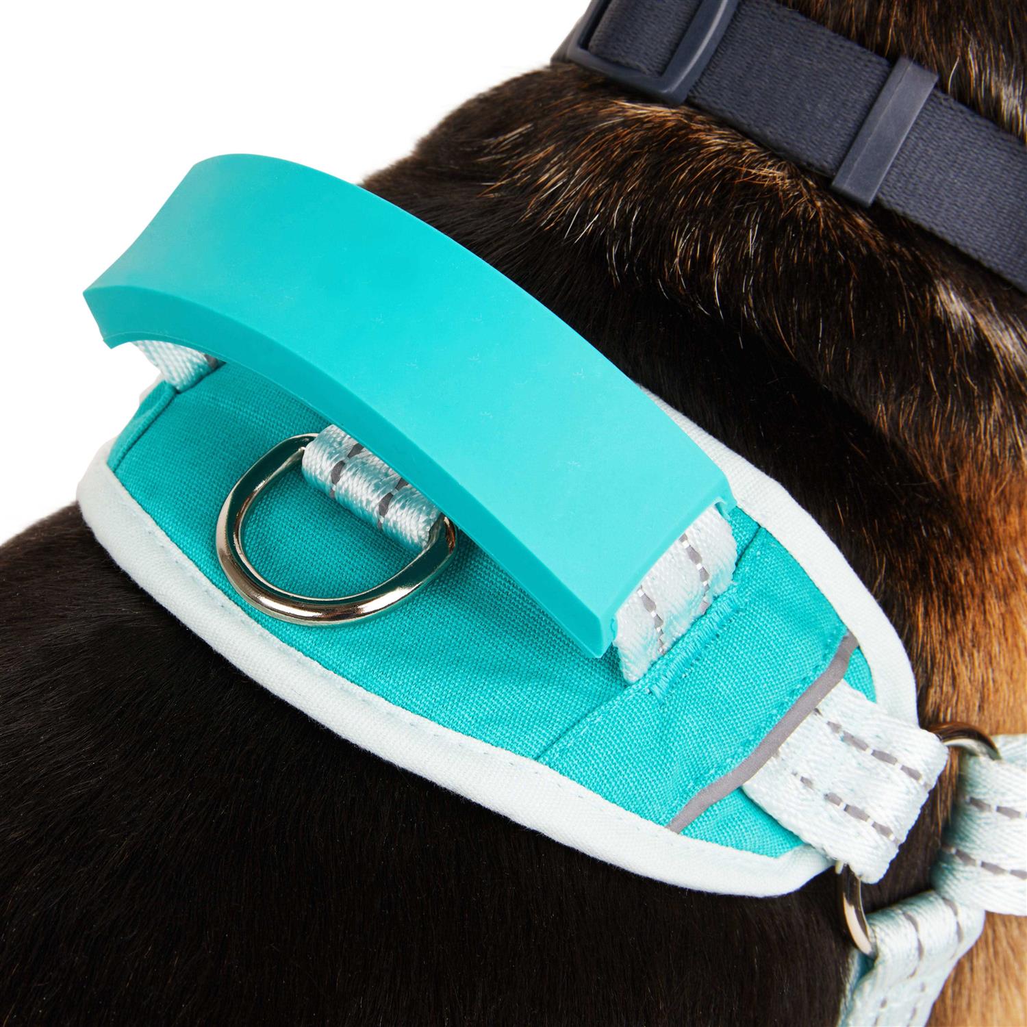 EveryYay Easy On Training Dog Harness - Image 5