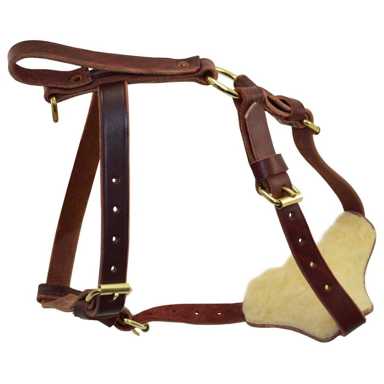Signature k-9 Leather Tracking Harness - Image 5
