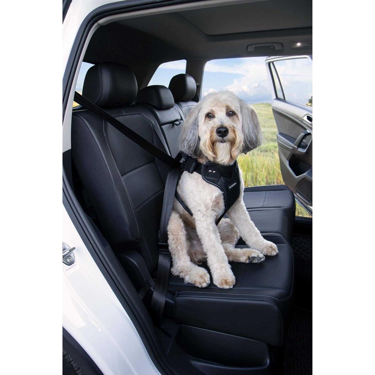 Sherpa Crash Tested Seatbelt Safety Harness - Image 5