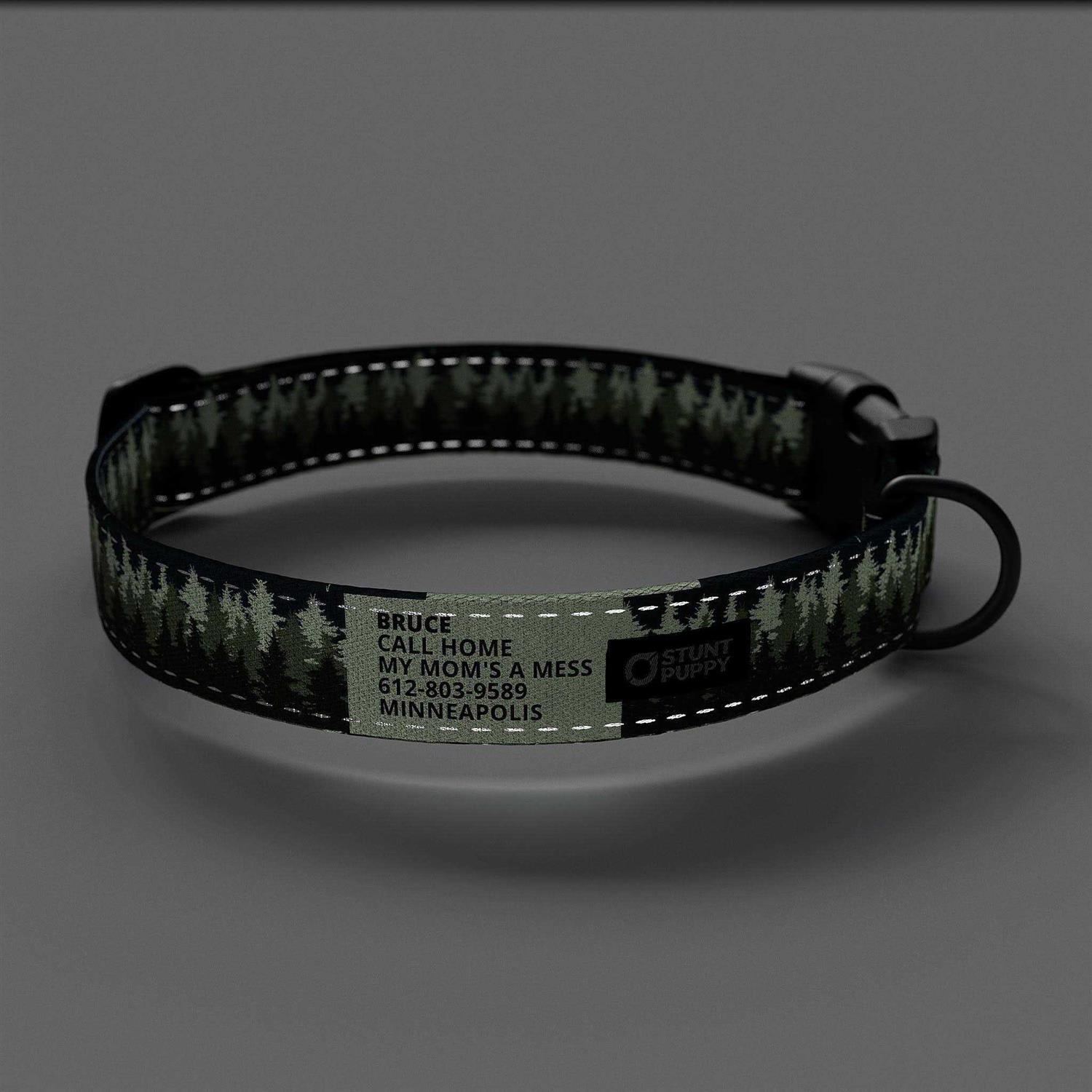 Stunt Puppy Pines Collar - Image 4