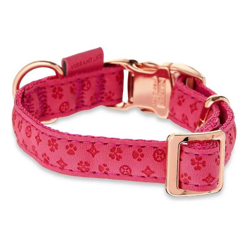 Vibrant Life Embossed Adjustable Dog Collar - Image 4