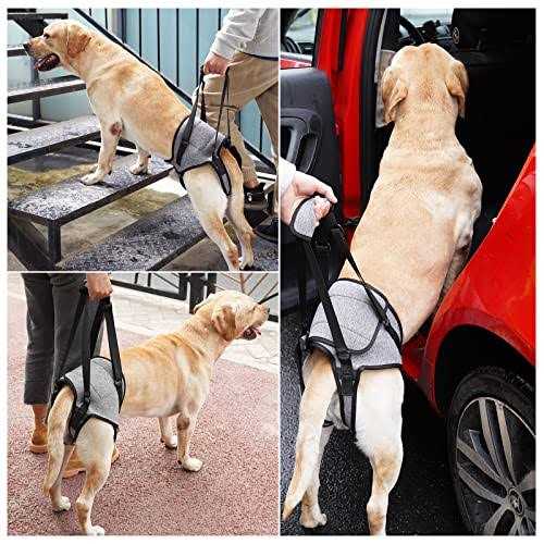 Dotoner Dog Sling for Large Dogs Hind Leg Support to Help Rehabilitate The Hind Limbs of Elderly Dogs with Weak Hind Legs Disabilities and Injuries - Image 3