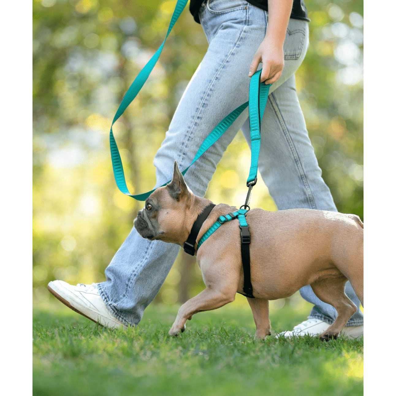 Rover Gear Better Walk No-Pull dog Harness - Image 5