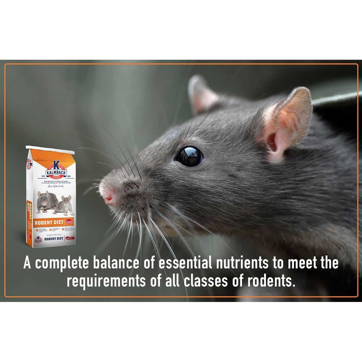 Kalmbach Feeds Rodent Diet Cubes Rats & Mice Food - Image 4