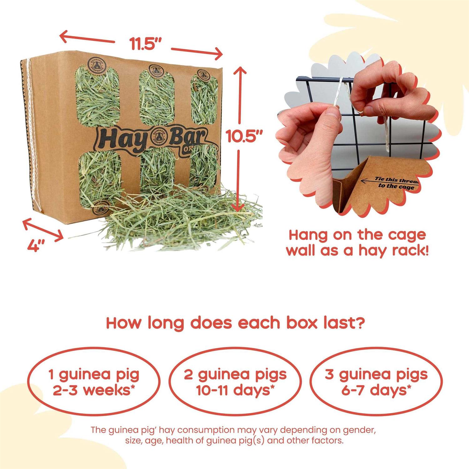 Guineadad Timothy Hay for Guinea Pigs Rabbits - Image 4