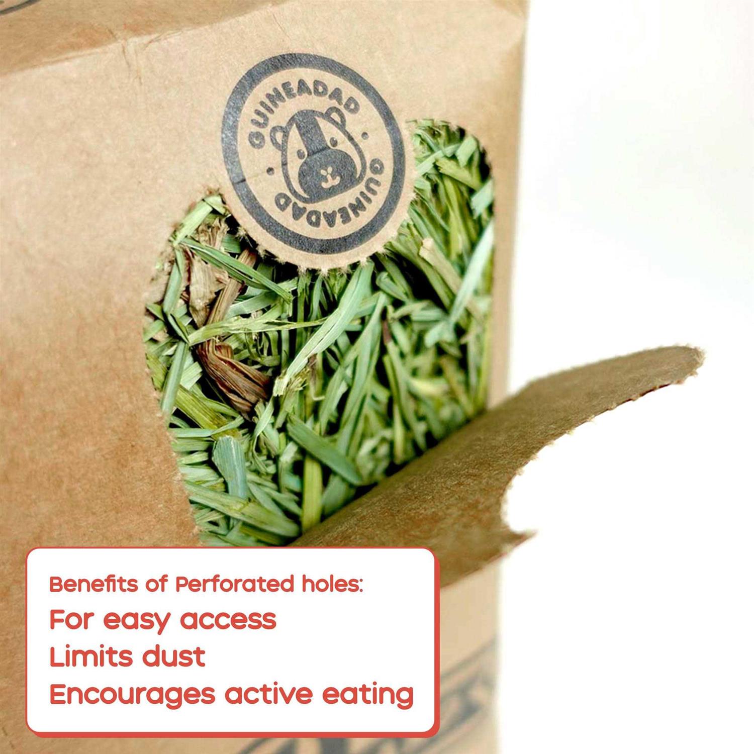 Guineadad Timothy Hay for Guinea Pigs Rabbits - Image 5