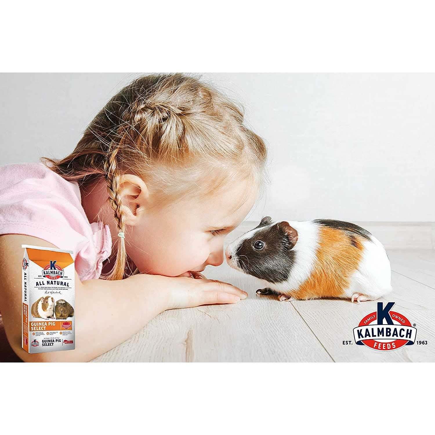 Kalmbach Feeds All Natural Guinea Pig Select Food - Image 4