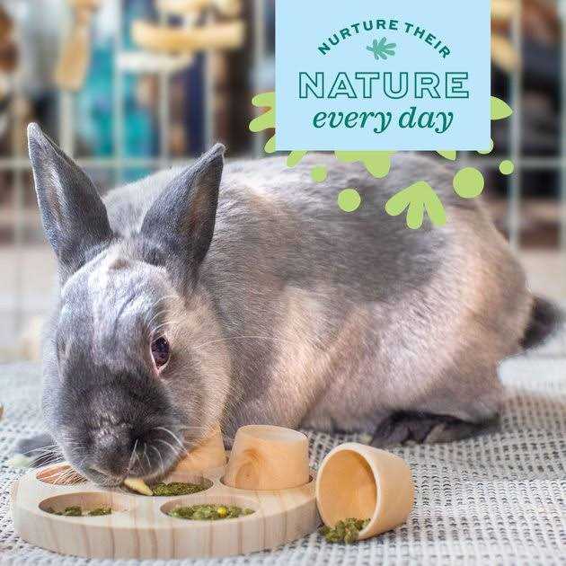 Oxbow Enriched Life Garden Forage Puzzle - Image 5